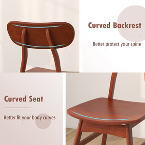 Set of 2 modern dining chairs with curved back and seat - Walnut