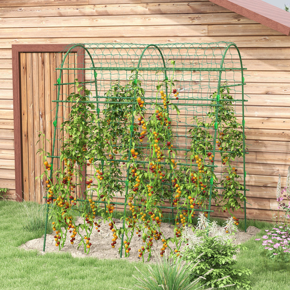 Arched Garden Trellis with Climbing Net for Climbing Plants 57" x 66" x 81"