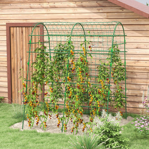 Arched garden trellis with climbing net for climbing plants