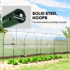 Tomato tunnel greenhouse with 4 hoops