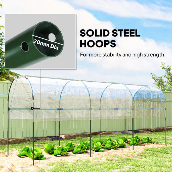Tomato tunnel greenhouse with 4 hoops