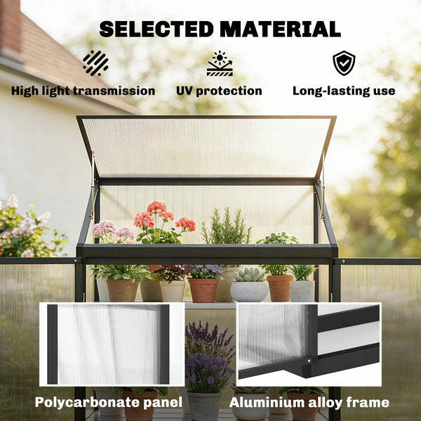 Polycarbonate garden greenhouse with shelves, black 