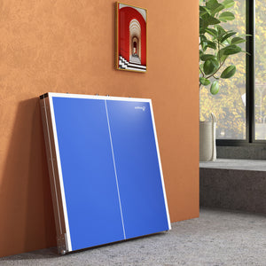 Portable Ping Pong Table with Net and Accessories, Blue