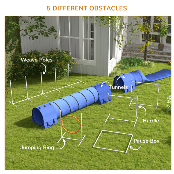 7 Piece Dog Agility Course, Blue