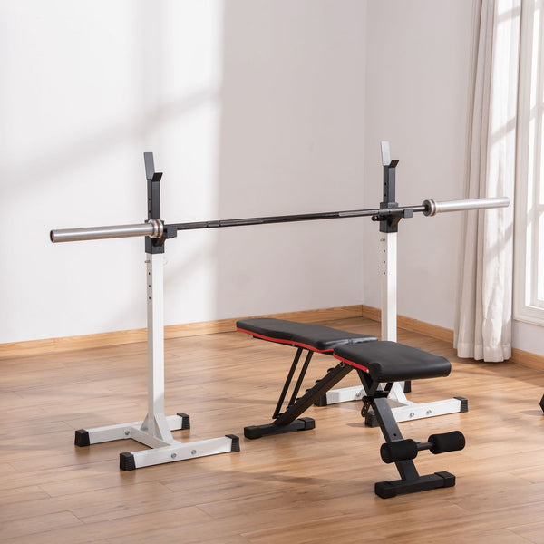 Adjustable Barbell Rack for Squats and Weightlifting with 2 Bars, Black and White