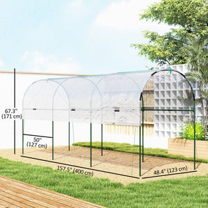 Tomato tunnel greenhouse with 4 hoops