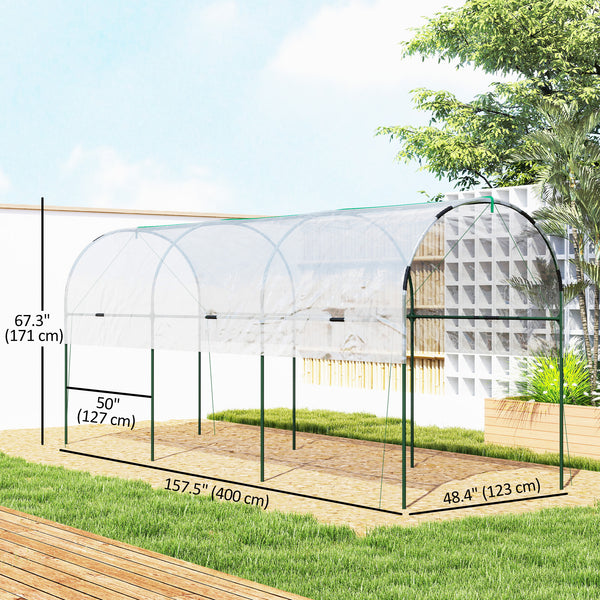 Tomato tunnel greenhouse with 4 hoops