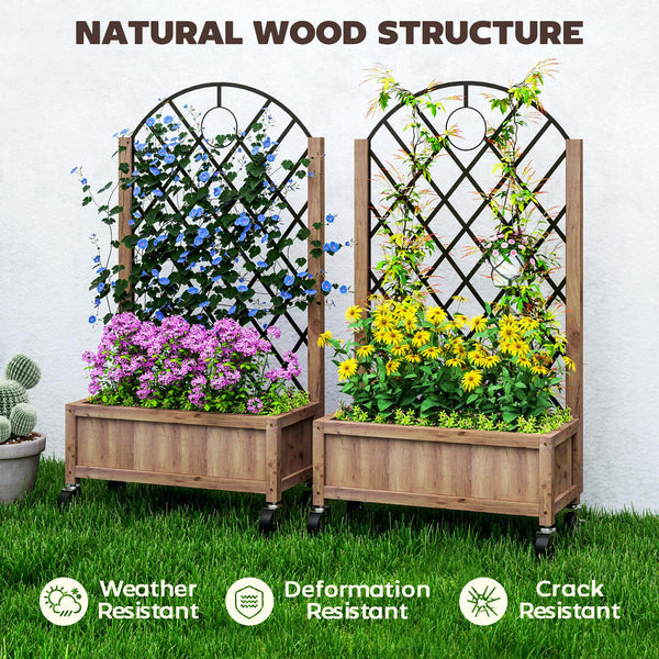 Raised planter with wire mesh, brown