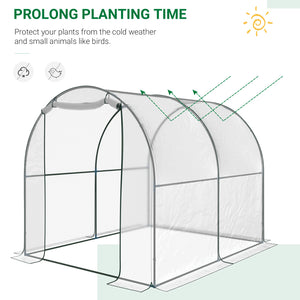 6.6' x 8.2' x 6.6' Tunnel Greenhouse, Garden Plant Shelter, Grow Tent with Roll-up Door, Clear