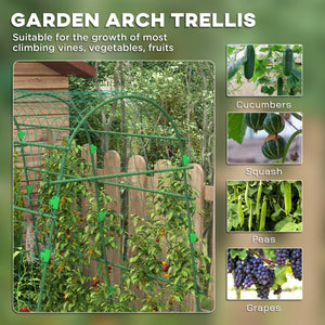 Arched garden trellis with climbing net for climbing plants