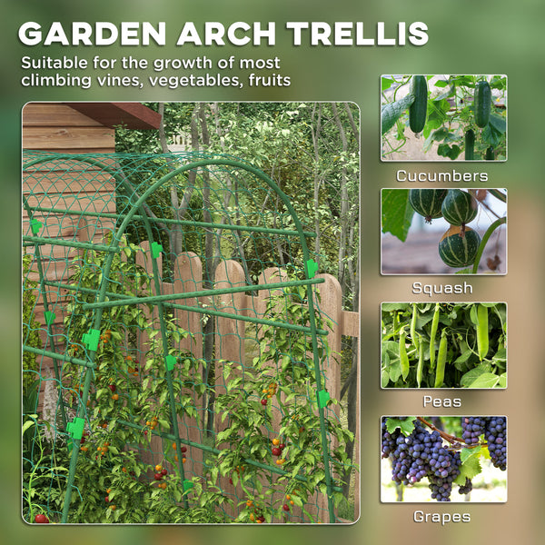 Arched garden trellis with climbing net for climbing plants