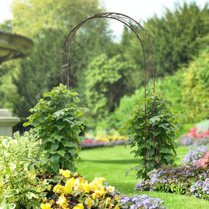 Metal garden arch with pergola for decorative climbing plants