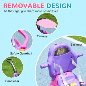 3-in-1 Push Car with Music, Light, Handle and Removable Canopy, Pink