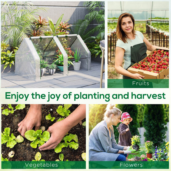 Portable mini tunnel greenhouse with large zippered doors