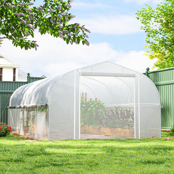 Outdoor tunnel greenhouse with roll-up mesh side walls