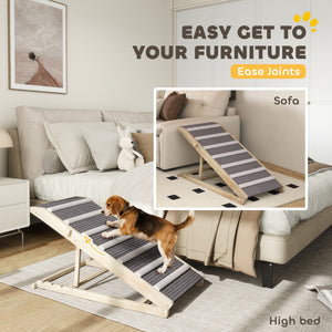 Pet ramp