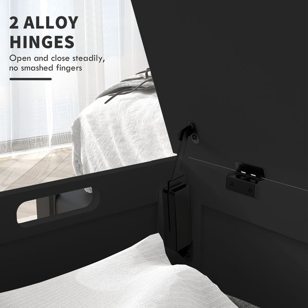 Storage box with 2 safety hinges, black