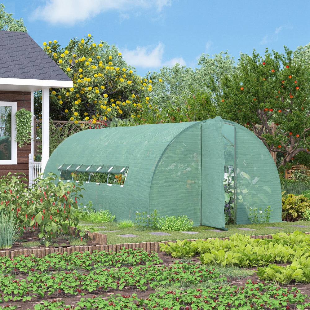 Tunnel greenhouse with drainage, PE cover, sturdy steel frame, green