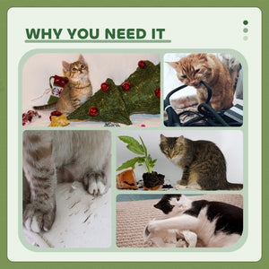 119cm high cat tree with niche, ladder, scratching posts and hanging ball, green