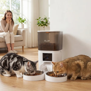 Automatic cat feeder for 2 cats with HD camera