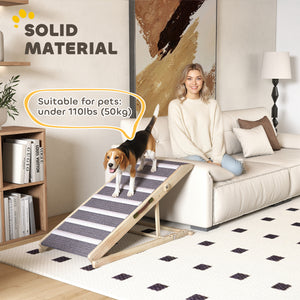 Pet ramp