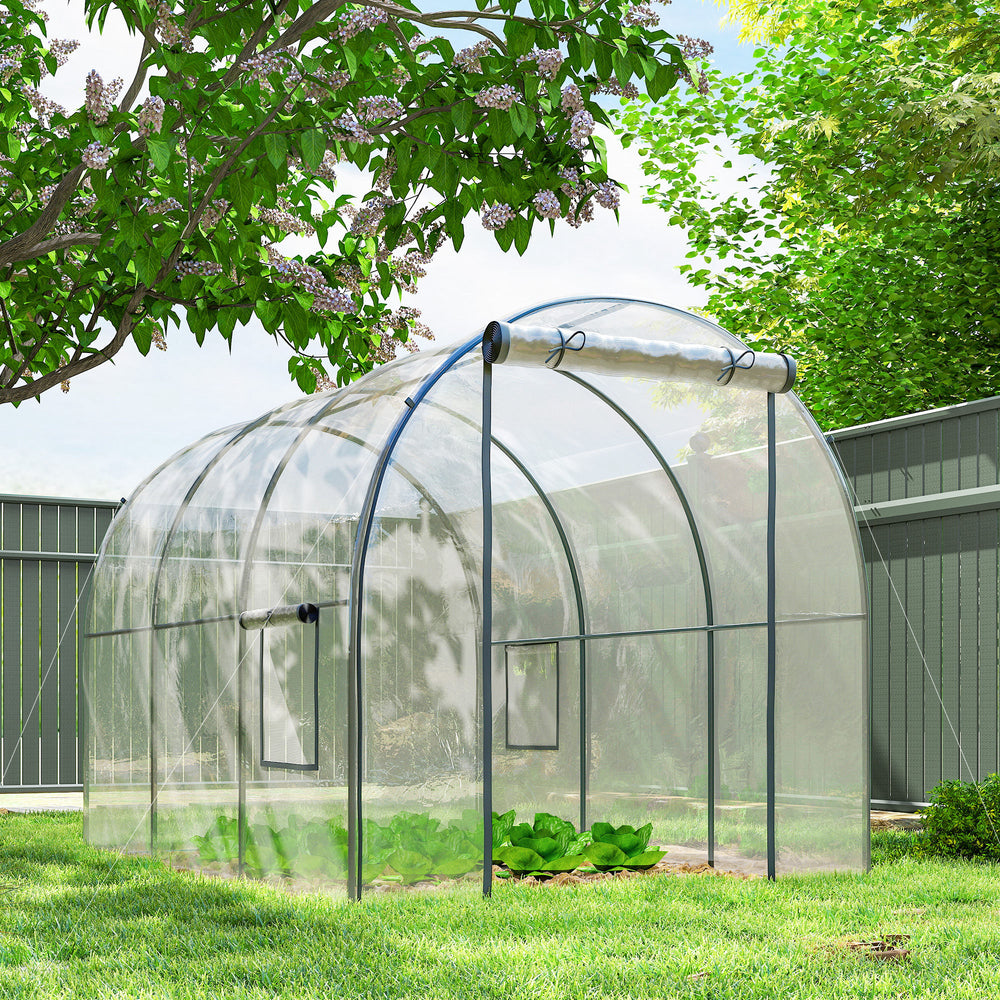 Tunnel greenhouse with roll-up door and mesh window, wind-resistant, transparent