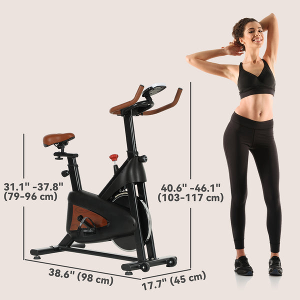 Silent exercise bike with adjustable resistance and seat, black