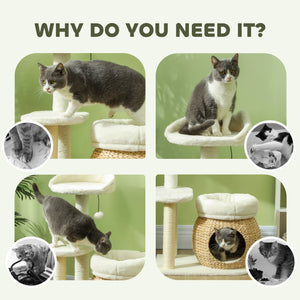 79cm Cat Tree with Scratching Posts, Cream White