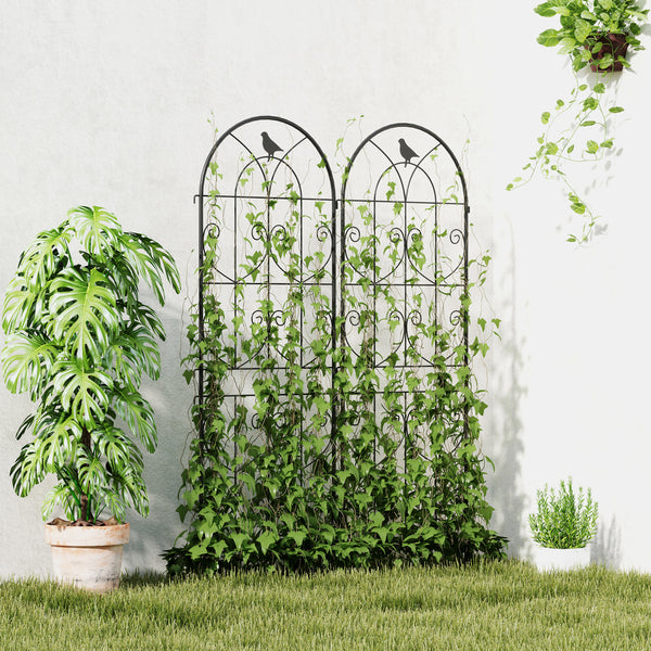 Set of 2 metal garden trellises, black