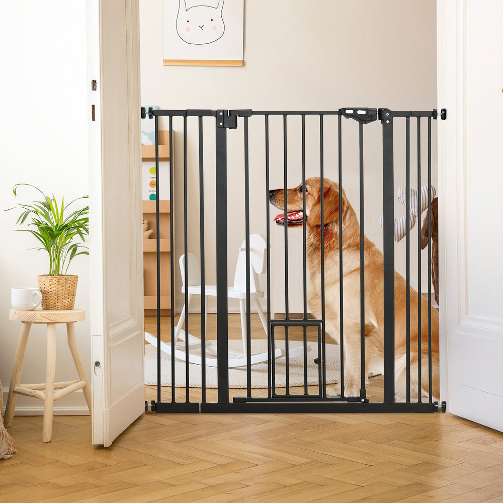 Black dog safety gate