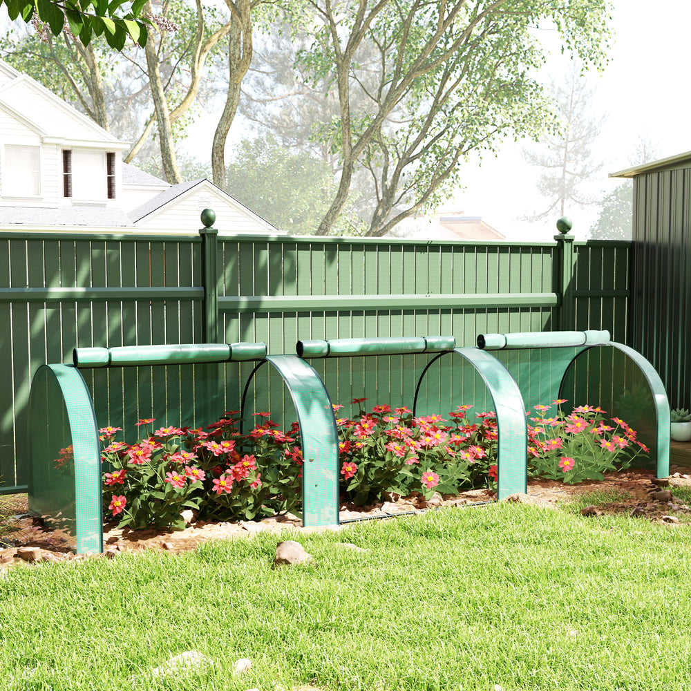Miniature tunnel greenhouse with PE cover