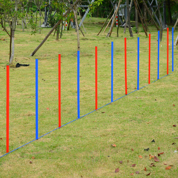 Dog Agility Equipment Set