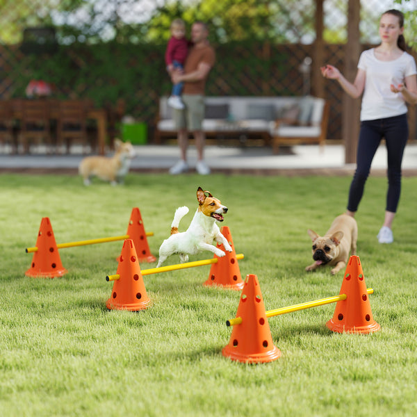 Set of agility cones and hurdles for dogs, orange