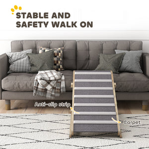Pet ramp