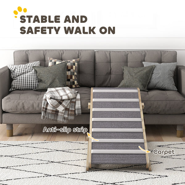 Pet ramp