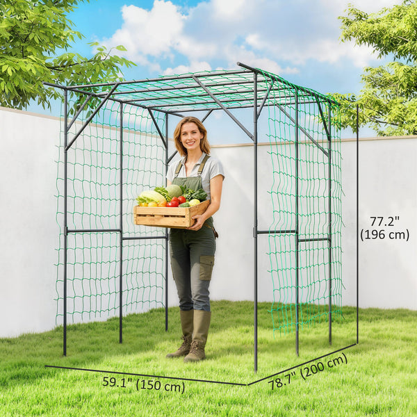 Metal garden arch with netting for climbing plants