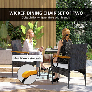 Set of 2 rattan garden chairs, light grey