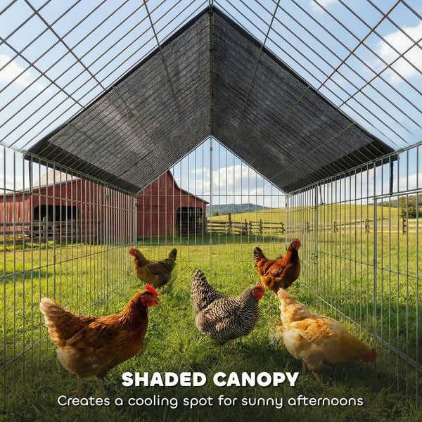 Metal chicken coop with UV-resistant cover