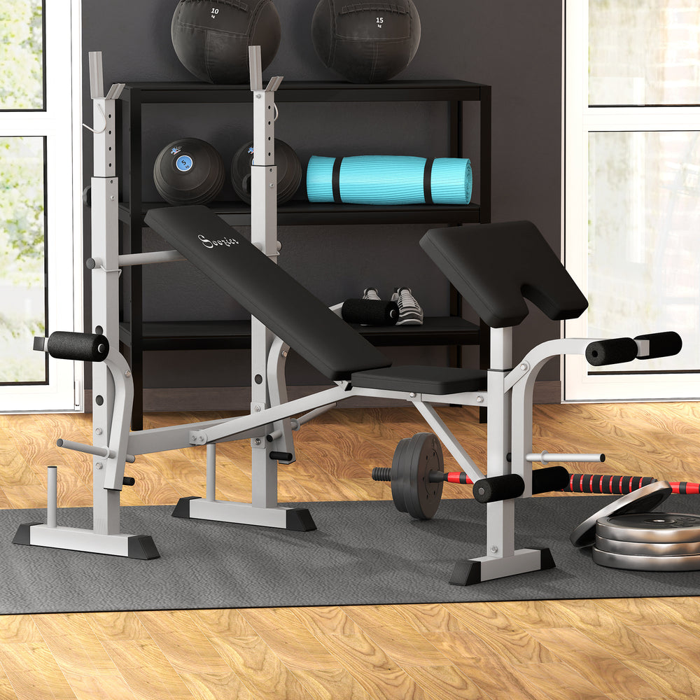 Adjustable Weight Bench with Squat Rack, Leg Press and Weight Storage, Grey