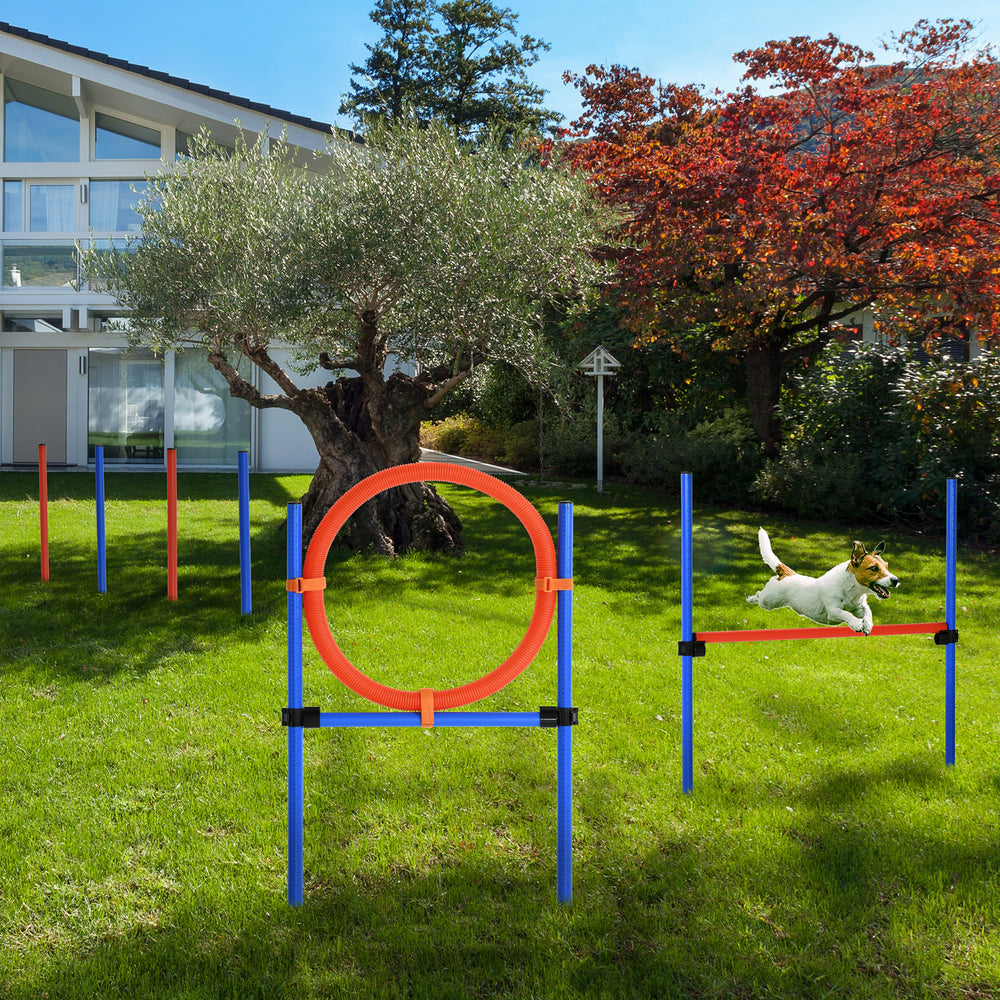 Dog Agility Training Kit