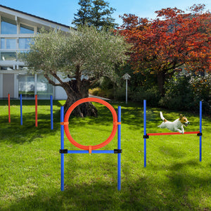 Dog Agility Training Kit