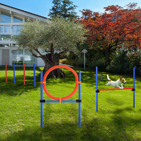 Dog Agility Training Kit