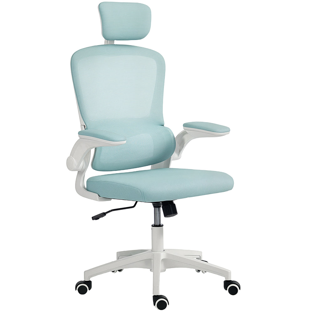 Ergonomic mesh office chair with lumbar support, blue/green