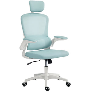 Ergonomic mesh office chair with lumbar support, blue/green
