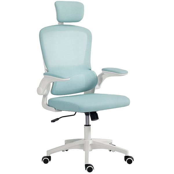 Ergonomic mesh office chair with lumbar support, blue/green