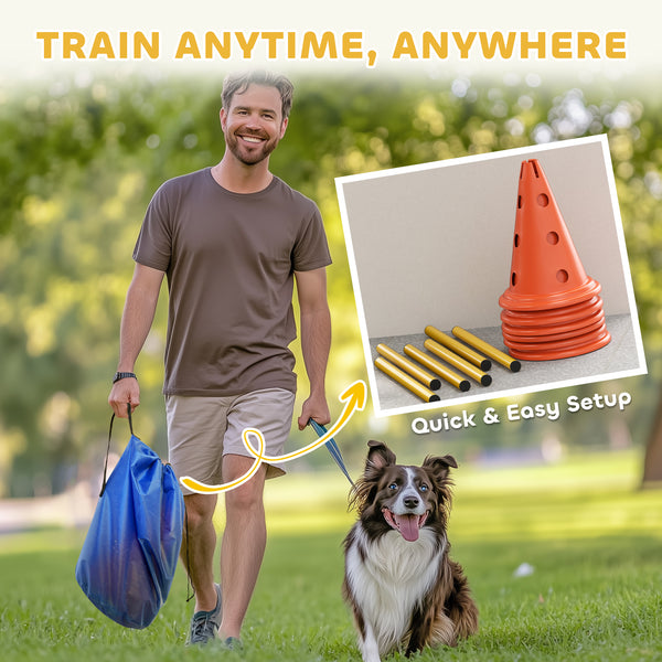 Set of agility cones and hurdles for dogs, orange