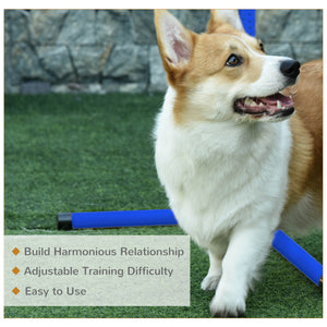 Set of 4 Dog Agility Training Equipment