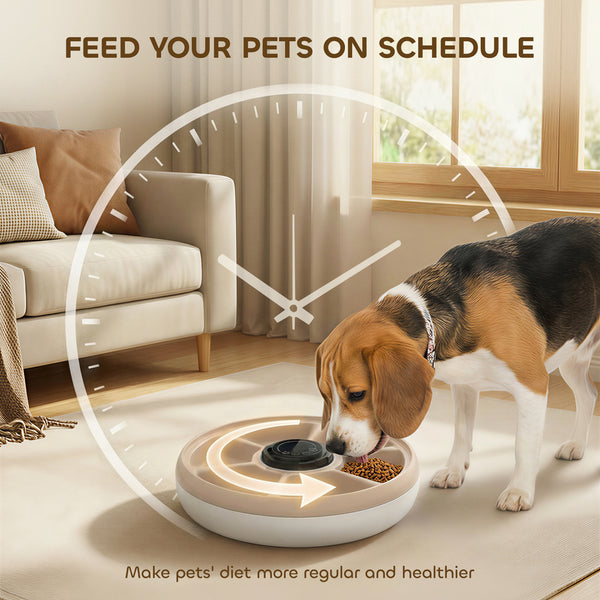 Automatic pet food dispenser with 6 trays and 1 cold pack