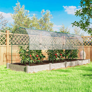 Tomato tunnel greenhouse with 4 hoops