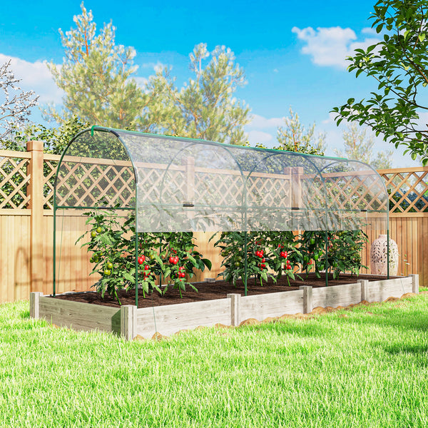 Tomato tunnel greenhouse with 4 hoops